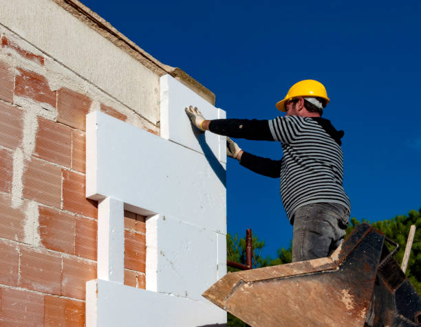 Best Insulation for New Construction  in Braddock, VA