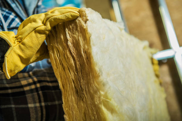 Best Cellulose Insulation  in Braddock, VA