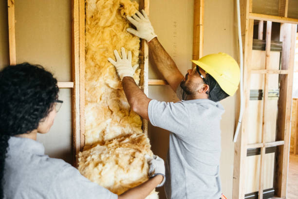 Best Local Insulation Services  in Braddock, VA