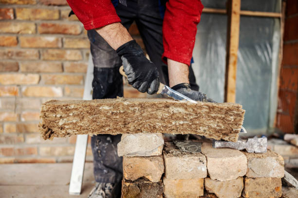 Best Professional Insulation Contractor  in Braddock, VA