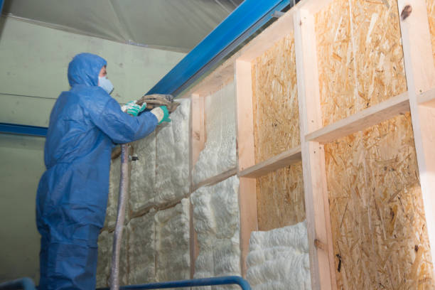 Best Commercial Insulation Contractor  in Braddock, VA