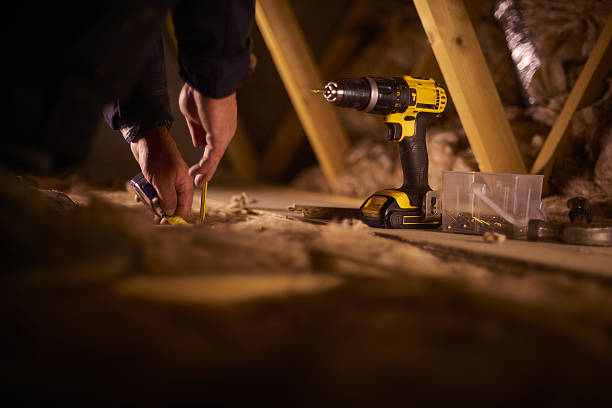 Best Insulation Removal Services  in Braddock, VA