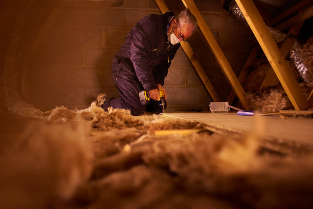 Best Insulation Replacement Services  in Braddock, VA