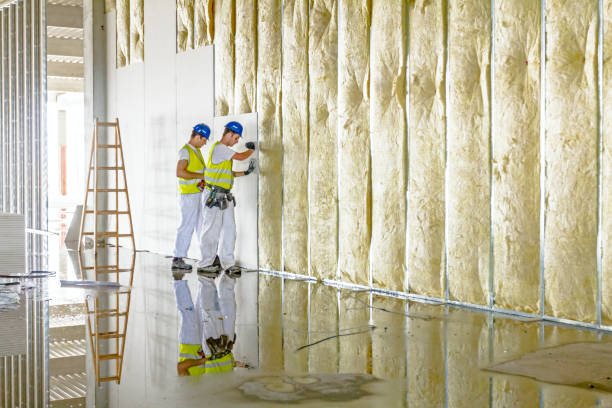 Best Commercial Insulation Contractor  in Braddock, VA